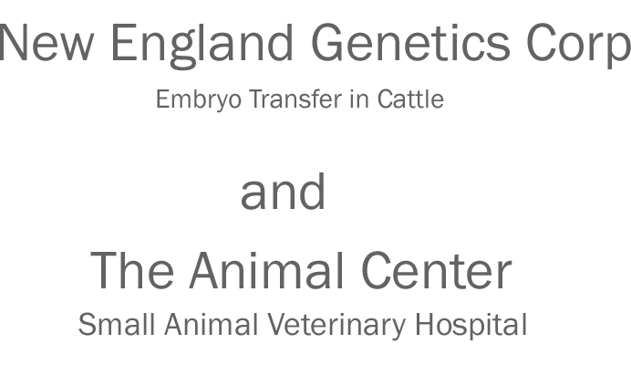 New England Genetics Corp